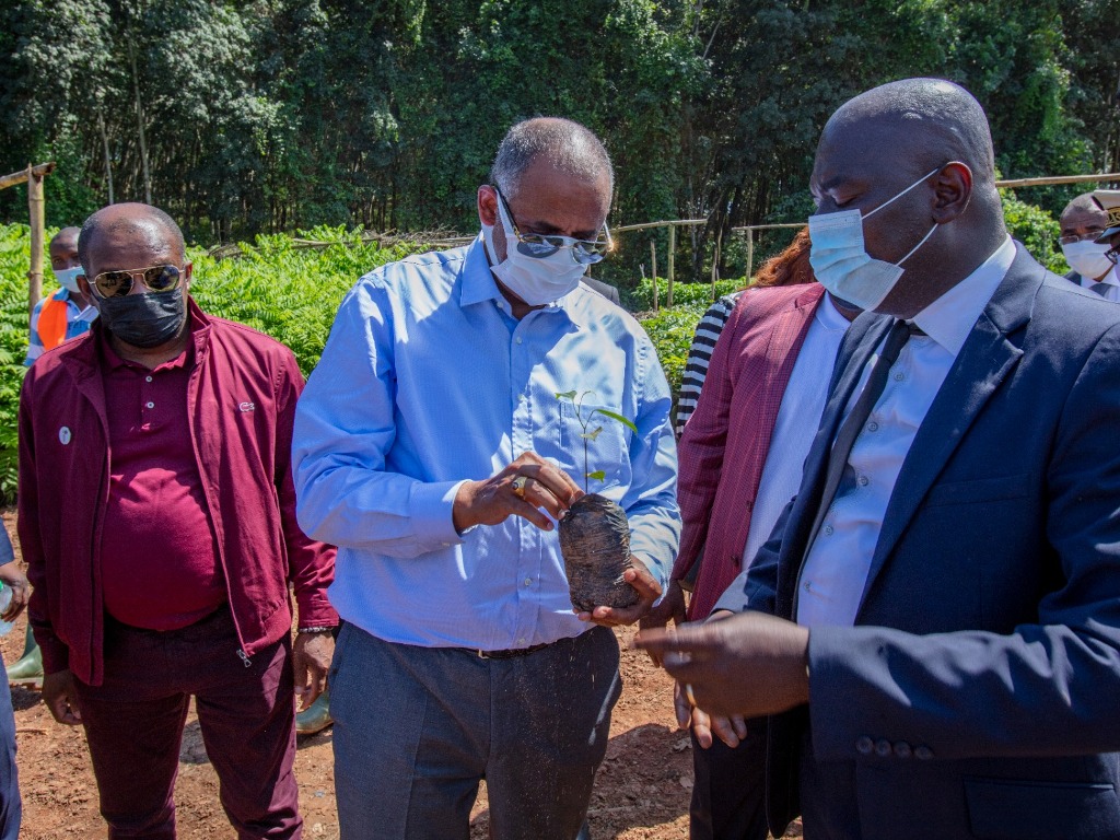 AGROFORESTERIE : LE PREMIER MINISTRE SALUE L’ENGAGEMENT DES PLANTEURS POUR UNE CACAOCULTURE DURABLE